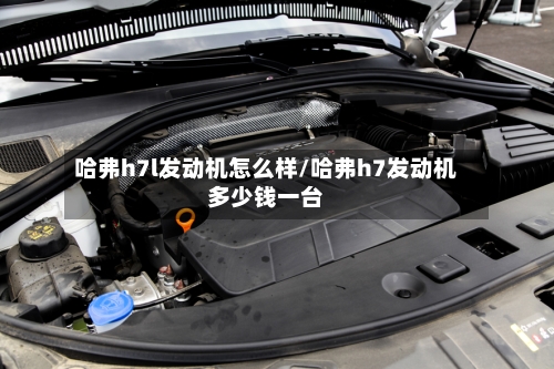 哈弗h7l发动机怎么样/哈弗h7发动机多少钱一台