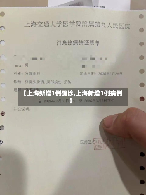 【上海新增1例确诊,上海新增1例病例】-第3张图片