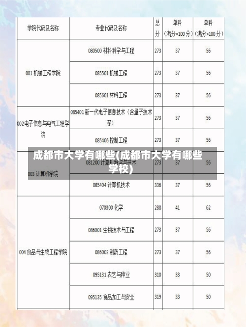 成都市大学有哪些(成都市大学有哪些学校)