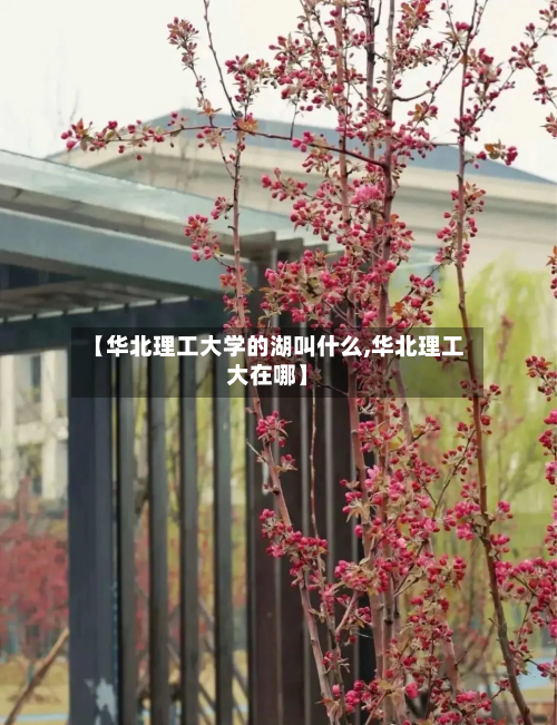 【华北理工大学的湖叫什么,华北理工大在哪】