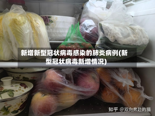 新增新型冠状病毒感染的肺炎病例(新型冠状病毒新增情况)-第2张图片