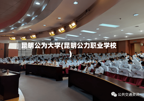 昆明公为大学(昆明公力职业学校)-第2张图片