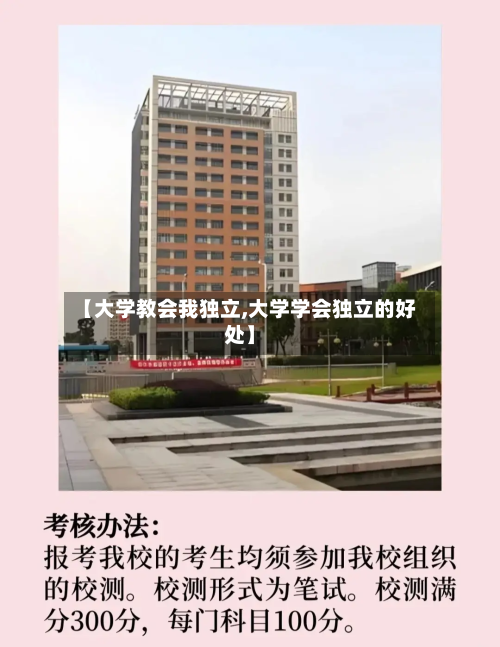 【大学教会我独立,大学学会独立的好处】-第3张图片
