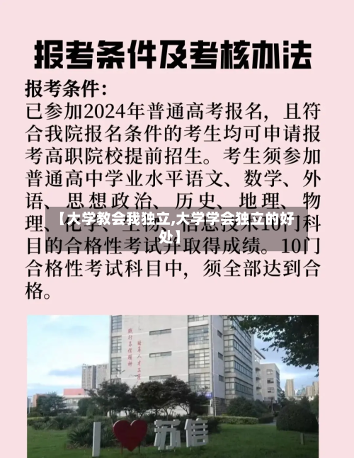 【大学教会我独立,大学学会独立的好处】