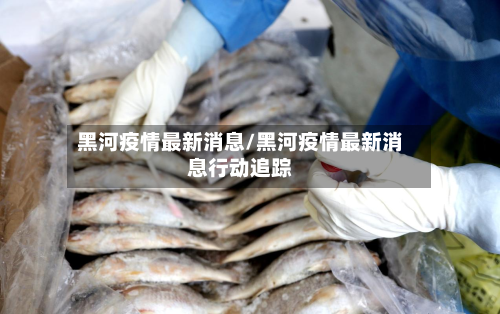 黑河疫情最新消息/黑河疫情最新消息行动追踪