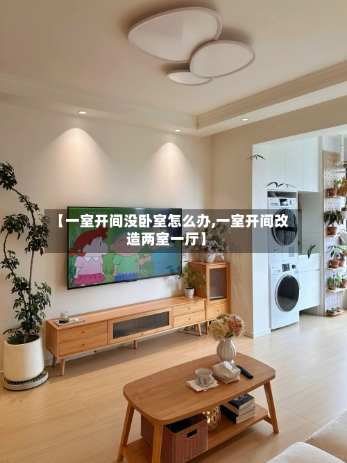 【一室开间没卧室怎么办,一室开间改造两室一厅】