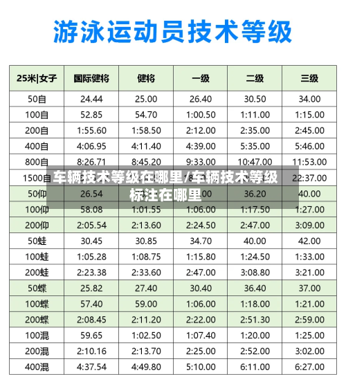 车辆技术等级在哪里/车辆技术等级标注在哪里-第3张图片