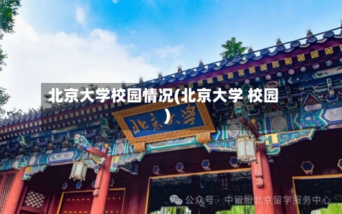 北京大学校园情况(北京大学 校园)