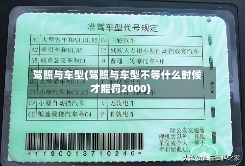 驾照与车型(驾照与车型不等什么时候才能罚2000)