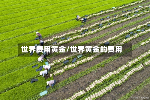 世界费用黄金/世界黄金的费用