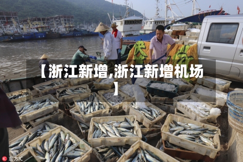 【浙江新增,浙江新增机场】