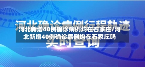 河北新增40例确诊病例均在石家庄/河北新增40例确诊病例均在石家庄吗-第3张图片