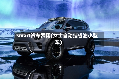 smart汽车费用(女士自动挡省油小型车)