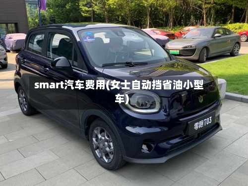 smart汽车费用(女士自动挡省油小型车)-第2张图片