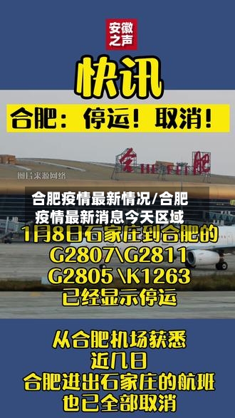 合肥疫情最新情况/合肥疫情最新消息今天区域-第2张图片