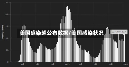 美国感染超公布数据/美国感染状况-第3张图片