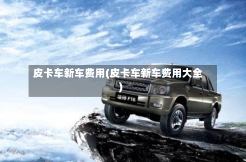 皮卡车新车费用(皮卡车新车费用大全)