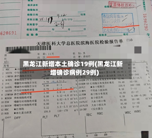 黑龙江新增本土确诊19例(黑龙江新增确诊病例29例)-第3张图片