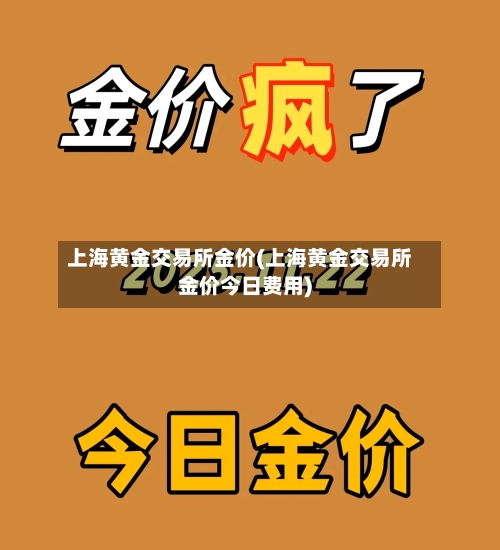上海黄金交易所金价(上海黄金交易所金价今日费用)-第2张图片