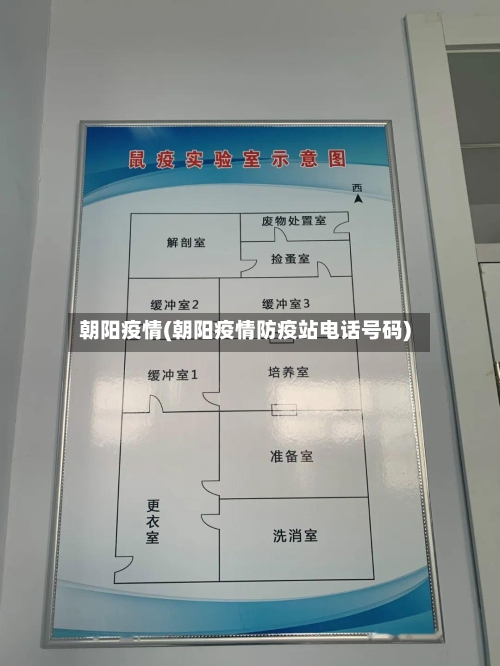 朝阳疫情(朝阳疫情防疫站电话号码)