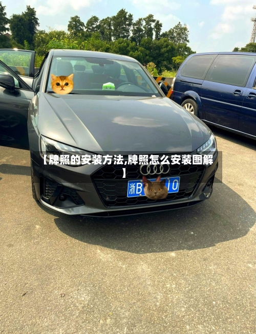 【牌照的安装方法,牌照怎么安装图解】