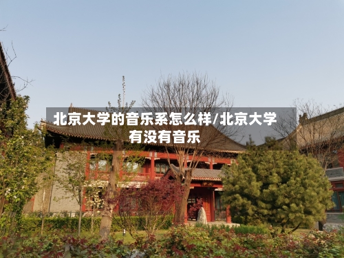 北京大学的音乐系怎么样/北京大学有没有音乐-第3张图片