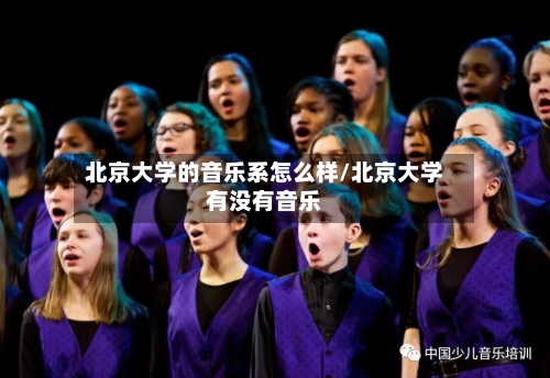 北京大学的音乐系怎么样/北京大学有没有音乐-第2张图片