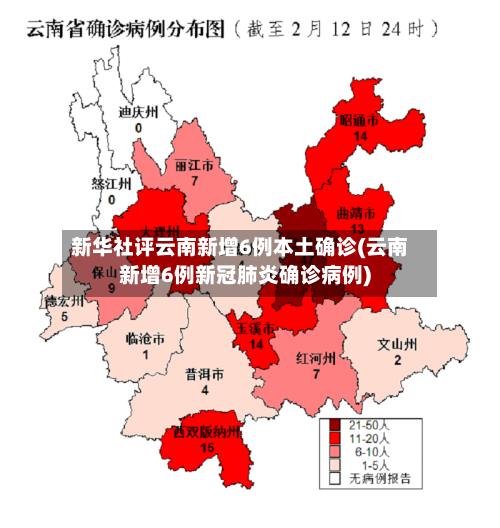 新华社评云南新增6例本土确诊(云南新增6例新冠肺炎确诊病例)