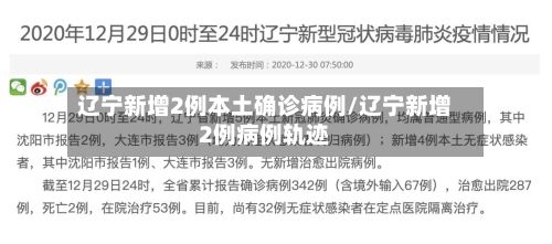 辽宁新增2例本土确诊病例/辽宁新增2例病例轨迹