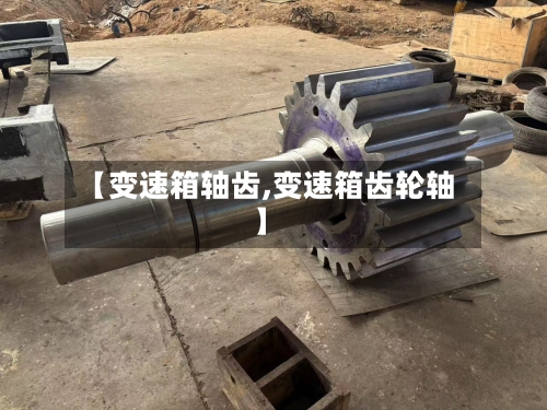 【变速箱轴齿,变速箱齿轮轴】-第3张图片