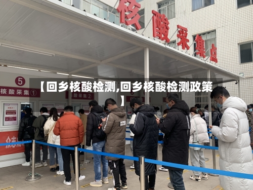 【回乡核酸检测,回乡核酸检测政策】-第2张图片