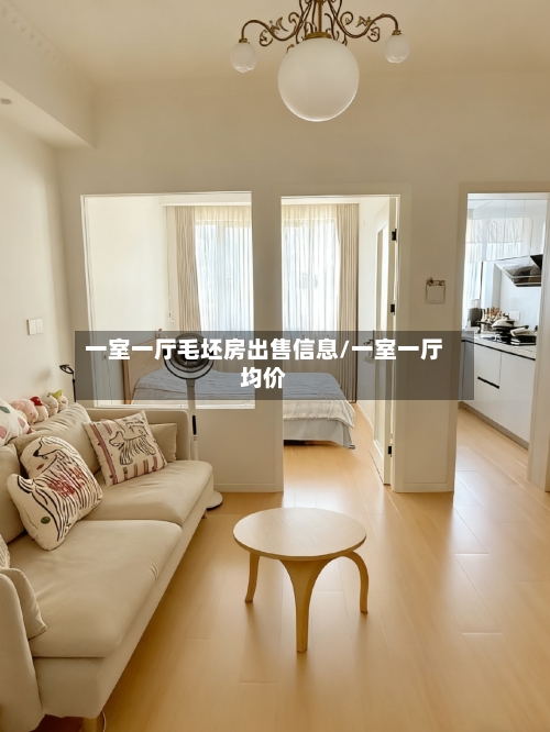 一室一厅毛坯房出售信息/一室一厅均价