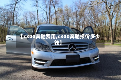 【c300奔驰费用,c300奔驰报价多少钱】