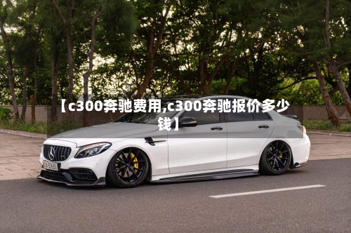 【c300奔驰费用,c300奔驰报价多少钱】-第2张图片