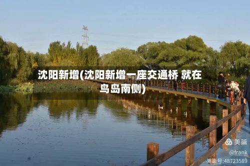 沈阳新增(沈阳新增一座交通桥 就在鸟岛南侧)-第2张图片