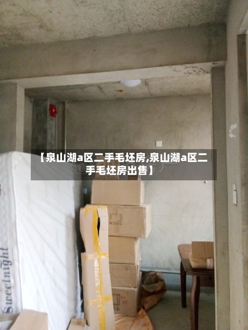 【泉山湖a区二手毛坯房,泉山湖a区二手毛坯房出售】-第3张图片