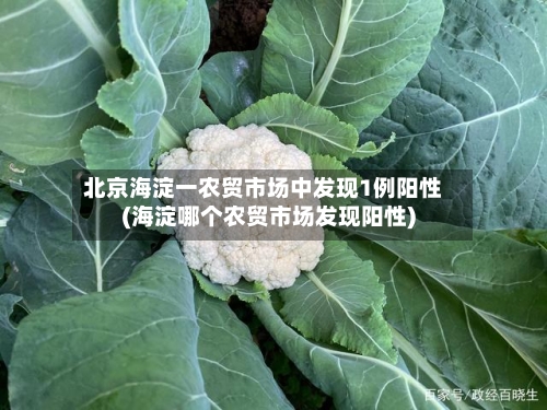北京海淀一农贸市场中发现1例阳性(海淀哪个农贸市场发现阳性)-第2张图片
