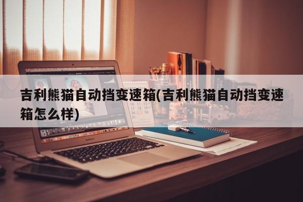 吉利熊猫自动挡变速箱(吉利熊猫自动挡变速箱怎么样)
