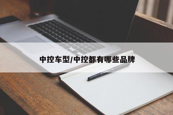 中控车型/中控都有哪些品牌