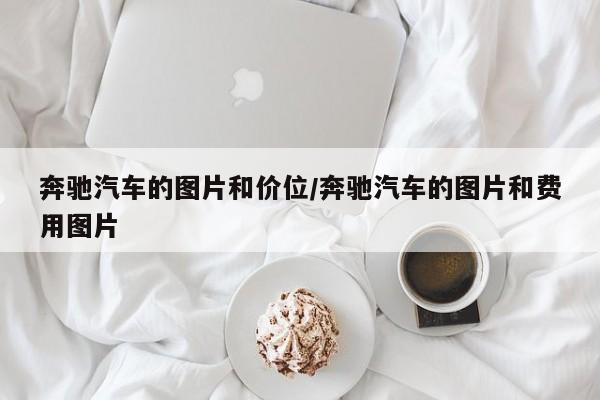 奔驰汽车的图片和价位/奔驰汽车的图片和费用图片