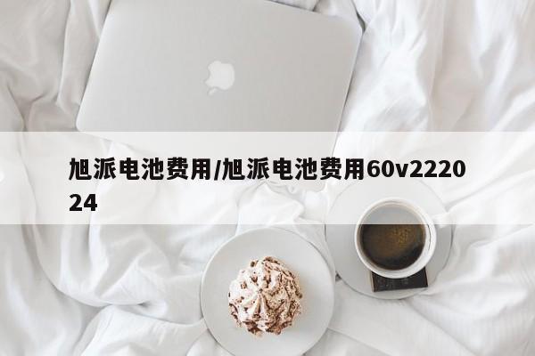 旭派电池费用/旭派电池费用60v222024