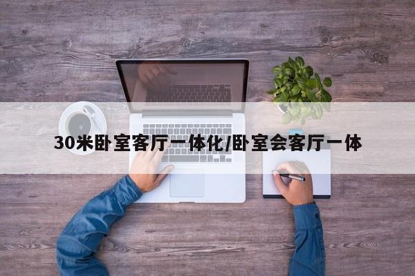 30米卧室客厅一体化/卧室会客厅一体