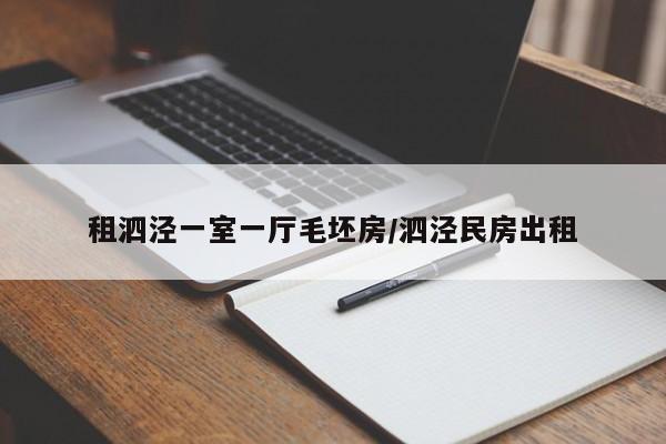 租泗泾一室一厅毛坯房/泗泾民房出租