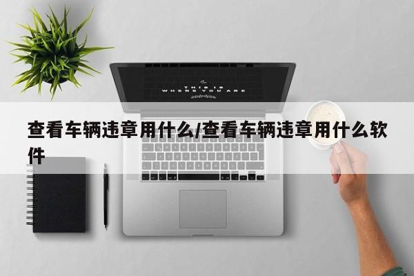 查看车辆违章用什么/查看车辆违章用什么软件