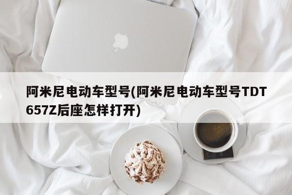 阿米尼电动车型号(阿米尼电动车型号TDT657Z后座怎样打开)